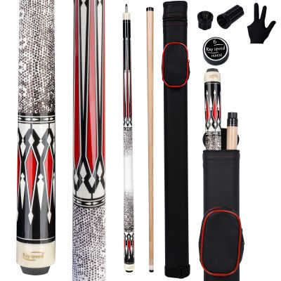 Ray Speed Pool Cue Stick with Low-Deflection Shaft and Hard Case, 540–567 ml