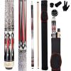 Ray Speed Pool Cue Stick with Low-Deflection Shaft and Hard Case, 540–567 ml view 1