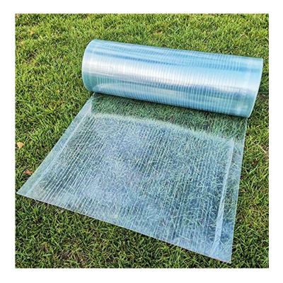 ZXCVBNAS Polycarbonate Roof Panels for Greenhouses, 0.7 x 2 m