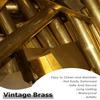 Non-Slip Carpet Stair Rods with Ball Finials view 3