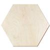 Natural Birch Wood Hexagon, Double-Sided Clear-Coated, 3 mm, 12 cm, 1-Piece Pack view 1