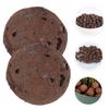 Toyvian Brown Clay Granules, 300 g, for Hydroponics and Houseplants view 3