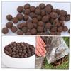 Toyvian Brown Clay Granules, 300 g, for Hydroponics and Houseplants view 4