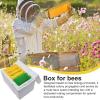 Foam Mating Nuc Box for Beekeepers view 2