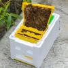 Foam Mating Nuc Box for Beekeepers view 3