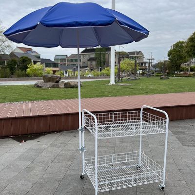 Portable Folding Kiosk Stand, 100 kg Capacity, Mobile Wire Cart with Wheels and Handle, 65 cm L
