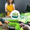 Seedling Tray with Humidity Cover view 4