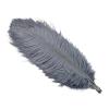 PFIOEUL Feather Dance Fans, 10-Piece Set, 45–50 cm, Gray view 1