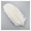 PFIOEUL Feather Dance Fans, 10-Piece Set, 45–50 cm, Gray view 4