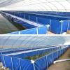 Foldable Canvas Fish Pond, Above-Ground Water Tank for Koi Farming and Garden Irrigation, Blue, 2 x 1 x 1.2 m view 2