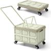46L Foldable Shopping Cart, Durable Plastic with Lid, 4-Wheel Handle, Portable for Shopping, Camping and Travel, Push, Pull & Lift Design view 1