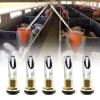 5-Piece Automatic Pig Water Nipple Set, Stainless Steel view 2