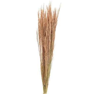 Red Agrostis capillaris Dried Grass Decor, Reddish Brown, 65 cm, 80 g