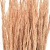 Red Agrostis capillaris Dried Grass Decor, Reddish Brown, 65 cm, 80 g view 3