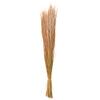 Red Agrostis capillaris Dried Grass Decor, Reddish Brown, 65 cm, 80 g view 4