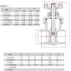 1-Piece UPVC Gate Valve, White, 20 mm Inner Diameter (DN15) view 2