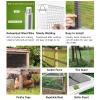 Galvanized Wire Mesh for Gardens and Chicken Coops view 4