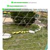 304 Stainless Steel Rope Net, Flexible Plant Climbing and Animal Fence Net, Silver, 3 mm, 2 × 8 m view 2