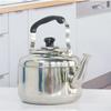 VGVSBG Whistling Stainless Steel Stovetop Kettle, Large Capacity view 3