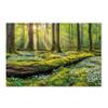Your Photo on Canvas, XXL 4 cm-Thick Stretcher Frame! - Panorama Canvas Print, Personalized Canvas Art, Ready to Hang (30 x 60 cm) view 4