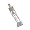 45 cm White PVC Skeleton Model for Medical Anatomy view 1