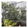 ZHENGQIAN Stainless Steel Anti-Fall Safety Net, 2 mm, H0.8 × L2 m view 1