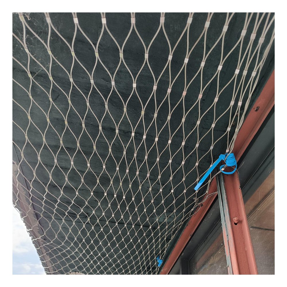 ZHENGQIAN Stainless Steel Cable Mesh Safety Net, 8 cm Mesh, H3 x L5 m (H9.84 x L16.40 ft)