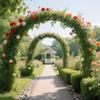 Metal Rose Arbor Pergola for Climbing Plants, 270 cm H x 280 cm W view 4
