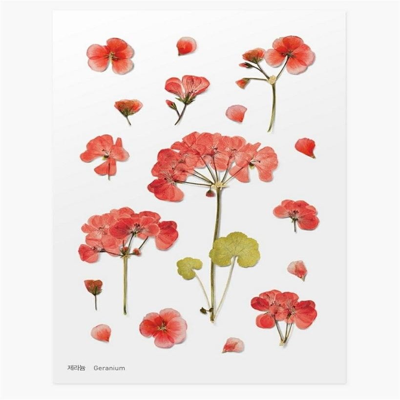 Appree Pressed Flower Stickers