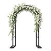 Wide Metal Garden Arch Trellis, 120–240 cm, Indoor and Outdoor, Wedding Pergola Arch for Lawn, Parties and Ceremonies, Decoration (Black, W 280 x H 250 cm) view 1