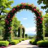Wide Metal Garden Arch Trellis, 120–240 cm, Indoor and Outdoor, Wedding Pergola Arch for Lawn, Parties and Ceremonies, Decoration (Black, W 280 x H 250 cm) view 2