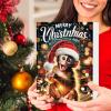 Cute Monkey Acrylic Christmas Countdown Calendar view 2