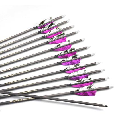 12-Pack 28-Inch 500-Spine Carbon Arrows with Removable Tips, Violet A4