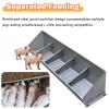 Stainless Steel Feeder and Water Trough, 2-in-1 Design for Livestock view 4