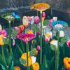 Fyrdyn Bee Waterer for Garden, Insect Drinking Station view 3