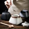 Square Ceramic Spice Container with Spoon, Disc Spring view 3