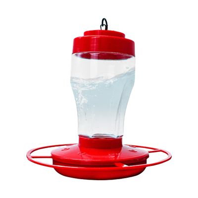 Hanging Bird Feeder with Perches, Clear Hummingbird and Wild Bird Feeder