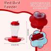 Hanging Bird Feeder with Perches, Clear Hummingbird and Wild Bird Feeder view 2