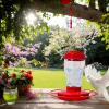 Hanging Bird Feeder with Perches, Clear Hummingbird and Wild Bird Feeder view 4
