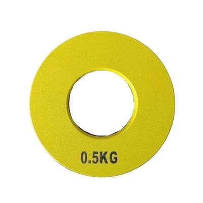 1-Piece Fractional Micro Weight Plate for Strength Training, 0.25–1.5 kg (1 Piece, 0.5 kg)