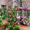 ZCFLWR Steel Grid Pergola, Garden Wedding Arch, Outdoor Metal Arbor, W120 x H220 cm, W140 x H230 cm, W180 x H220 cm, W200 x H230 cm, W240 x view 2