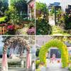 ZCFLWR Steel Grid Pergola, Garden Wedding Arch, Outdoor Metal Arbor, W120 x H220 cm, W140 x H230 cm, W180 x H220 cm, W200 x H230 cm, W240 x view 3