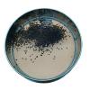 Stainless Steel Test/Flour Sieve, Silver, 0.0748 mm Mesh, Multiple Diameters, 25 cm (0.154 mm Mesh) view 1
