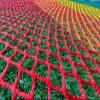 Soccer Backstop Net, Heavy-Duty Sports Barrier Net, Golf Driving Range Perimeter Netting, Practice Replacement Material for Soccer Goals view 4