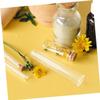 Plant Propagation Holder Glass Test Tube Vase, Christmas-Themed Party view 4