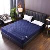 Quilted, Washable Mattress Cover with Zipper, Adjustable Size, Moisture-Resistant, Breathable and Soft Mattress Protector - Blue - 140 x 200 + 21 cm view 2
