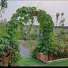 Fitlin Heavy-Duty Galvanized Steel Garden Arch Trellis, Green, 180 × 230 cm view 4