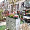 Fitlin Heavy-Duty Galvanized Steel Garden Arch Trellis, White, W140 x H230 cm view 4
