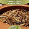 Dried Black Soldier Fly Larvae, 10 kg, for Wild Birds, Chickens & Hedgehogs view 4