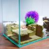 Our Fave Aquarium Decoration, Resin Tunnel Hideout for Small Fish and Shrimp view 3